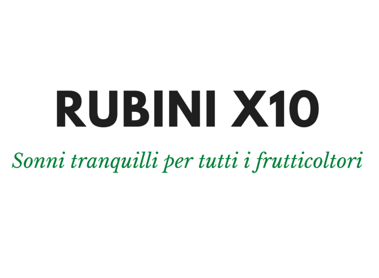 Logo with written text Rubini X10 - sonni tranquilli per tutti i frutticoltori